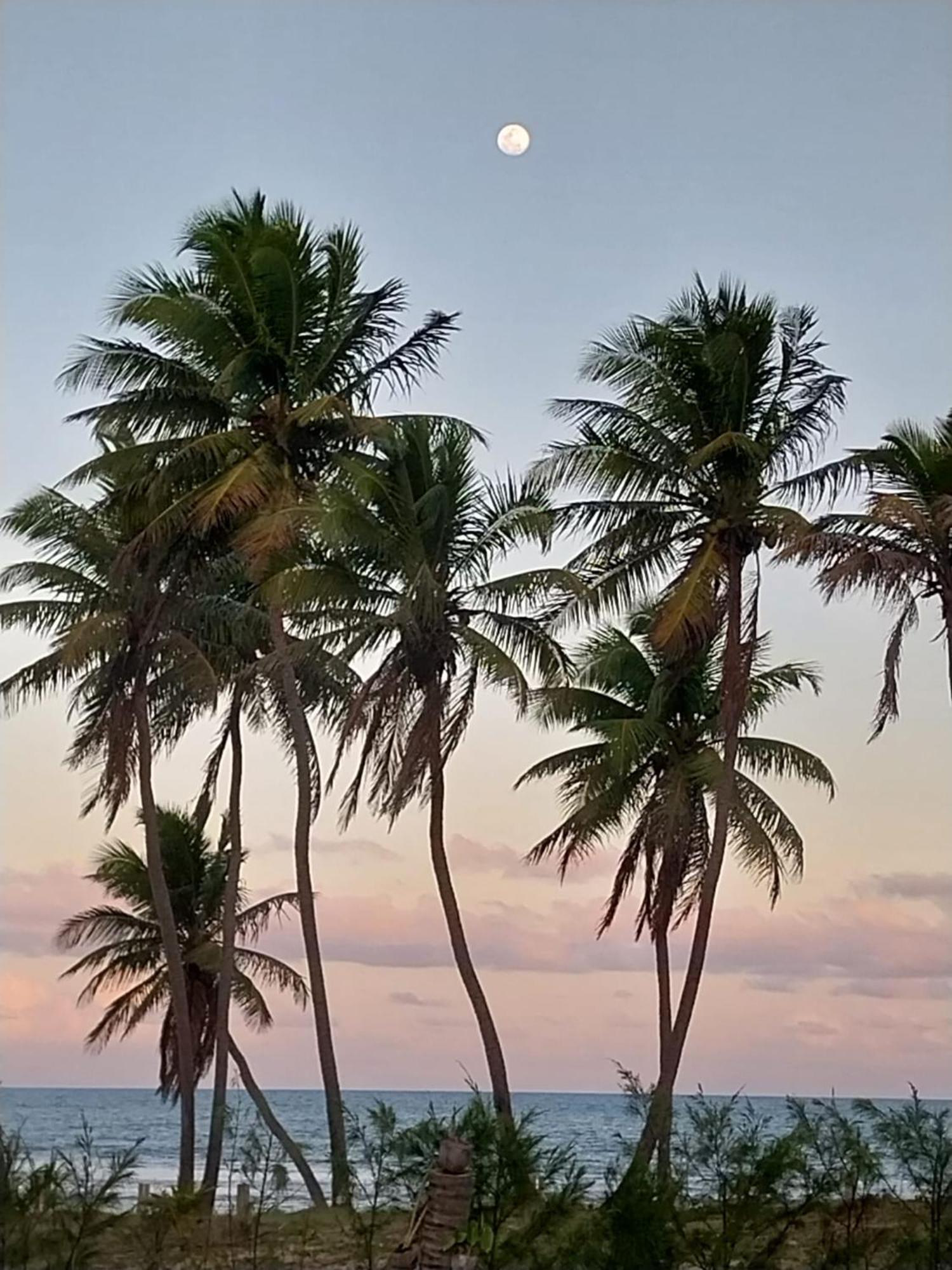 Beach House - Secured, Beach Access, Sea View, Best Location ไบชีโอ ภายนอก รูปภาพ